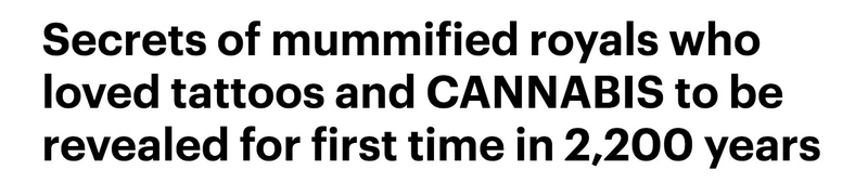 Via Daily Mail